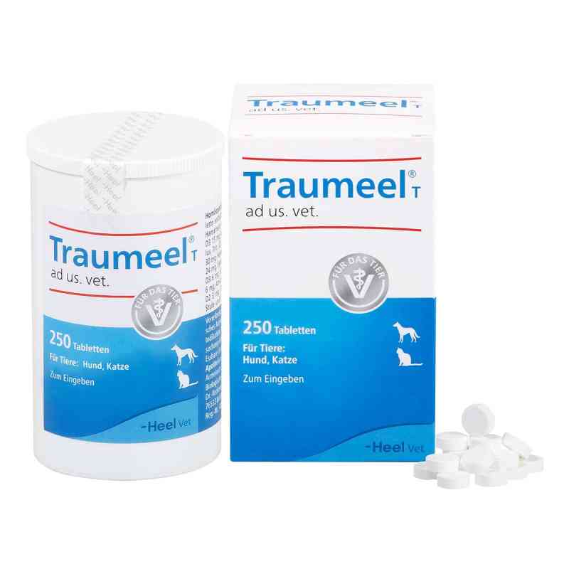 traumeel t tabletten für hunde /katzen 250 stk - online günstig